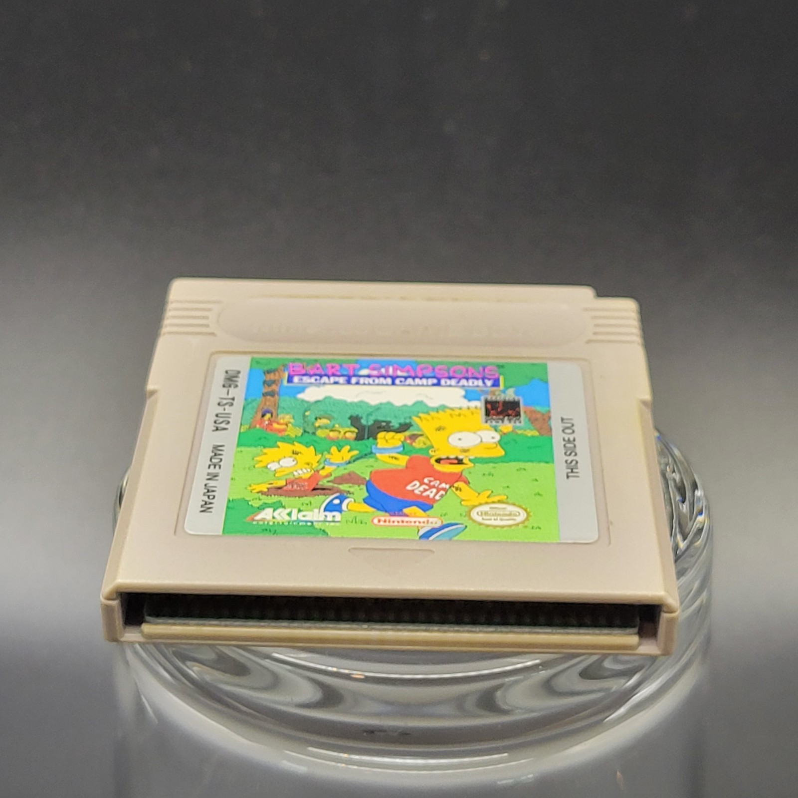 Bart Simpson’s Escape From Camp Deadly (Nintendo Game Boy)