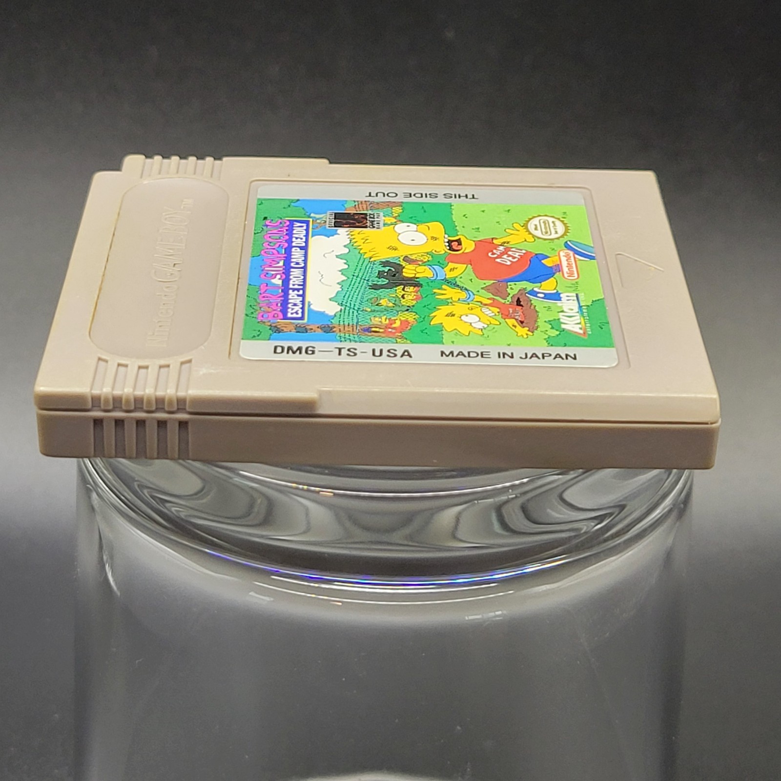 Bart Simpson’s Escape From Camp Deadly (Nintendo Game Boy)