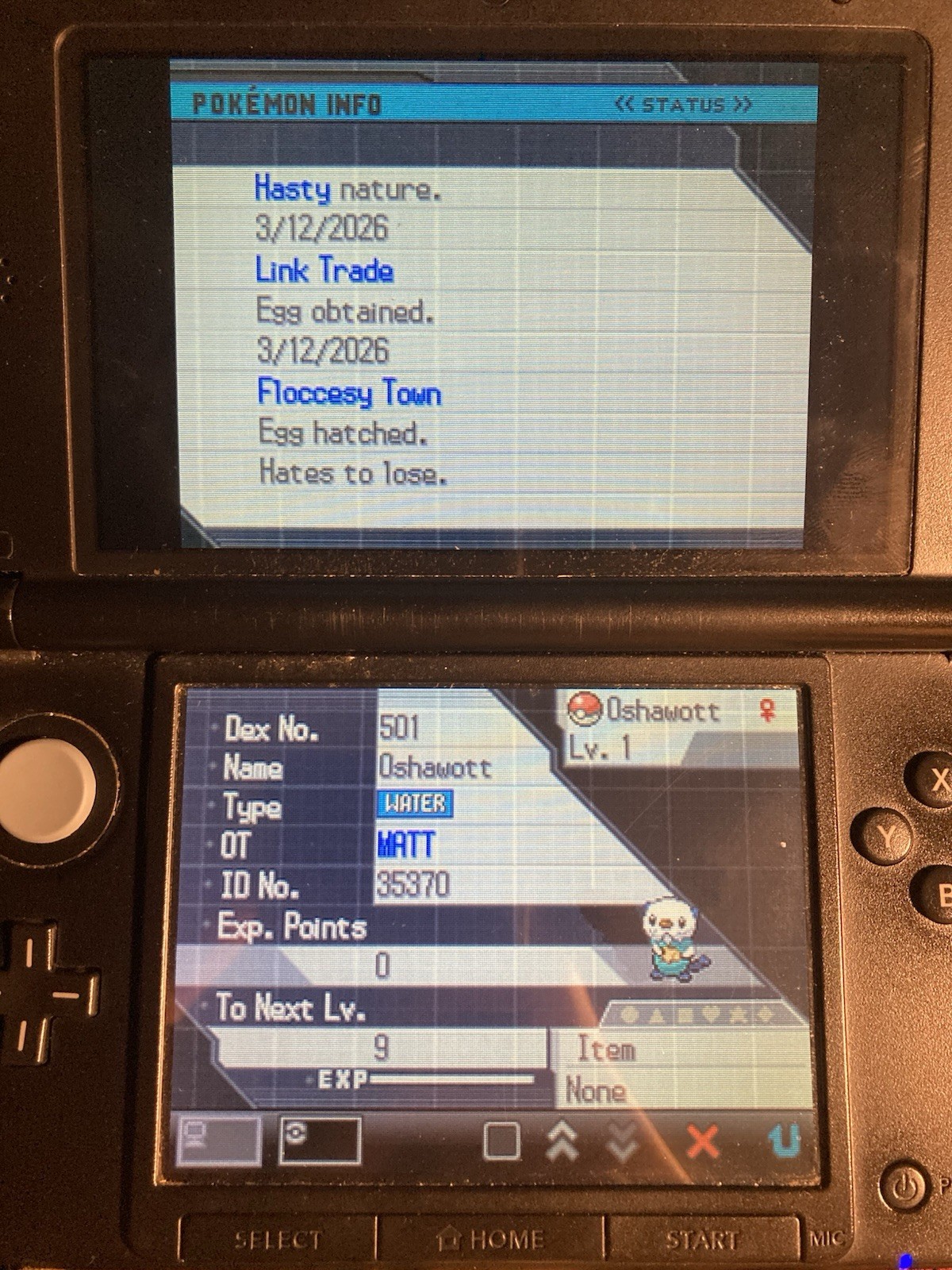 Pokemon Black & White / Black 2 & White 2 Features RESTORED