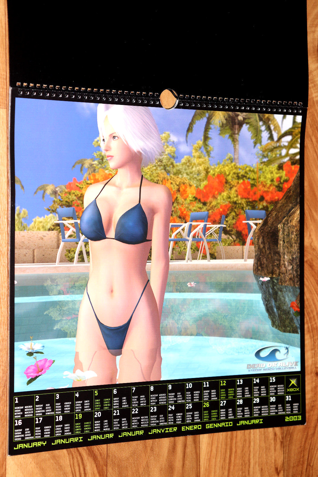 2003 Dead or Alive Xtreme Beach Volleyball Very Rare Calendar Collectible