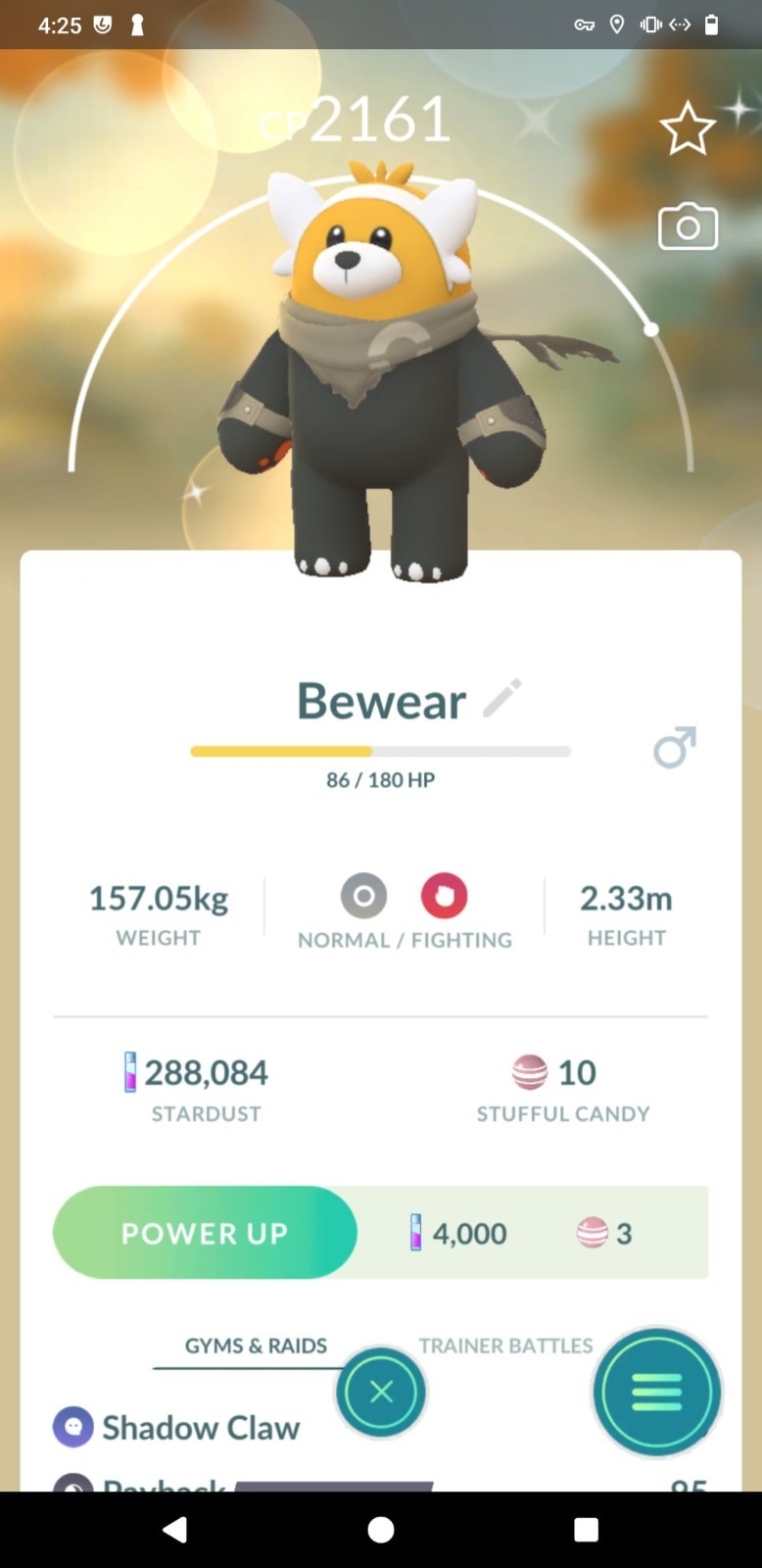 ✨ Shiny Bewear wilderness cape ✨ P T C – 20k stardust – Description