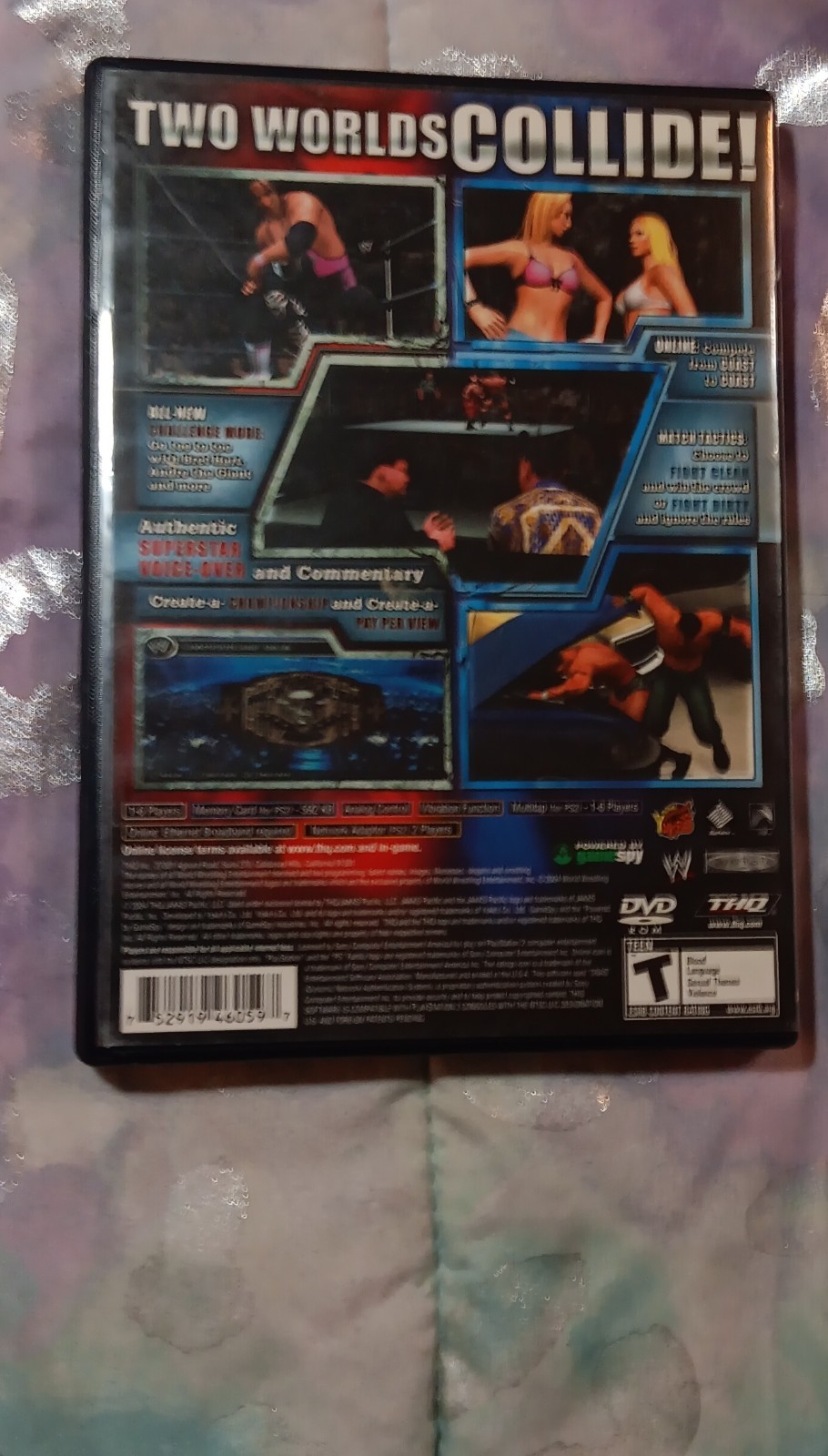 Sony PlayStation 2 Original Model DVD Keep Case for PlayStation 2 – Original