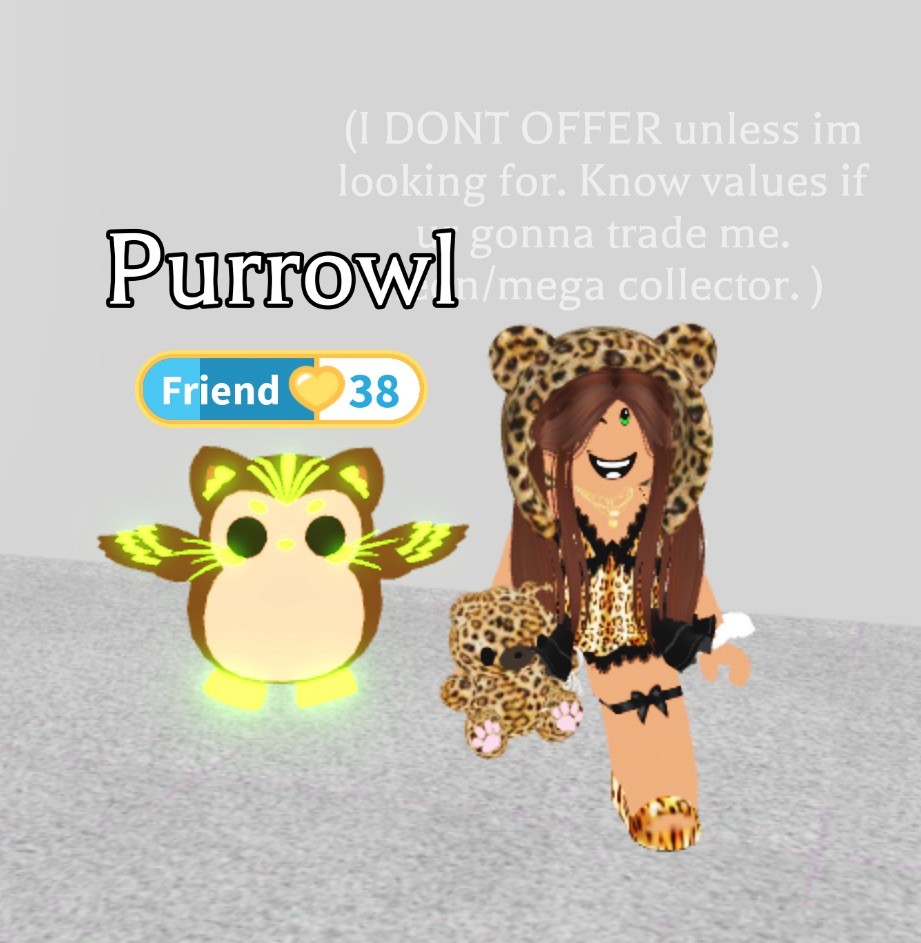 MEGA -No Potion- PURROWL Adopt from me today! READ DESCRIPTION