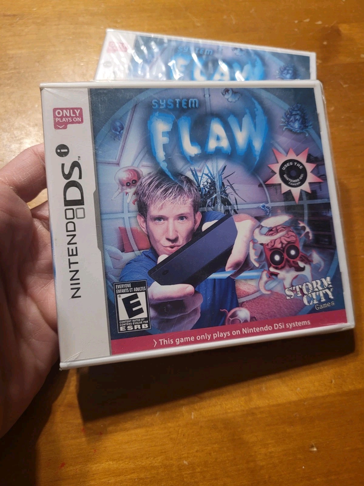 Nintendo DS System Flaw BRAND NEW FACTORY SEALED