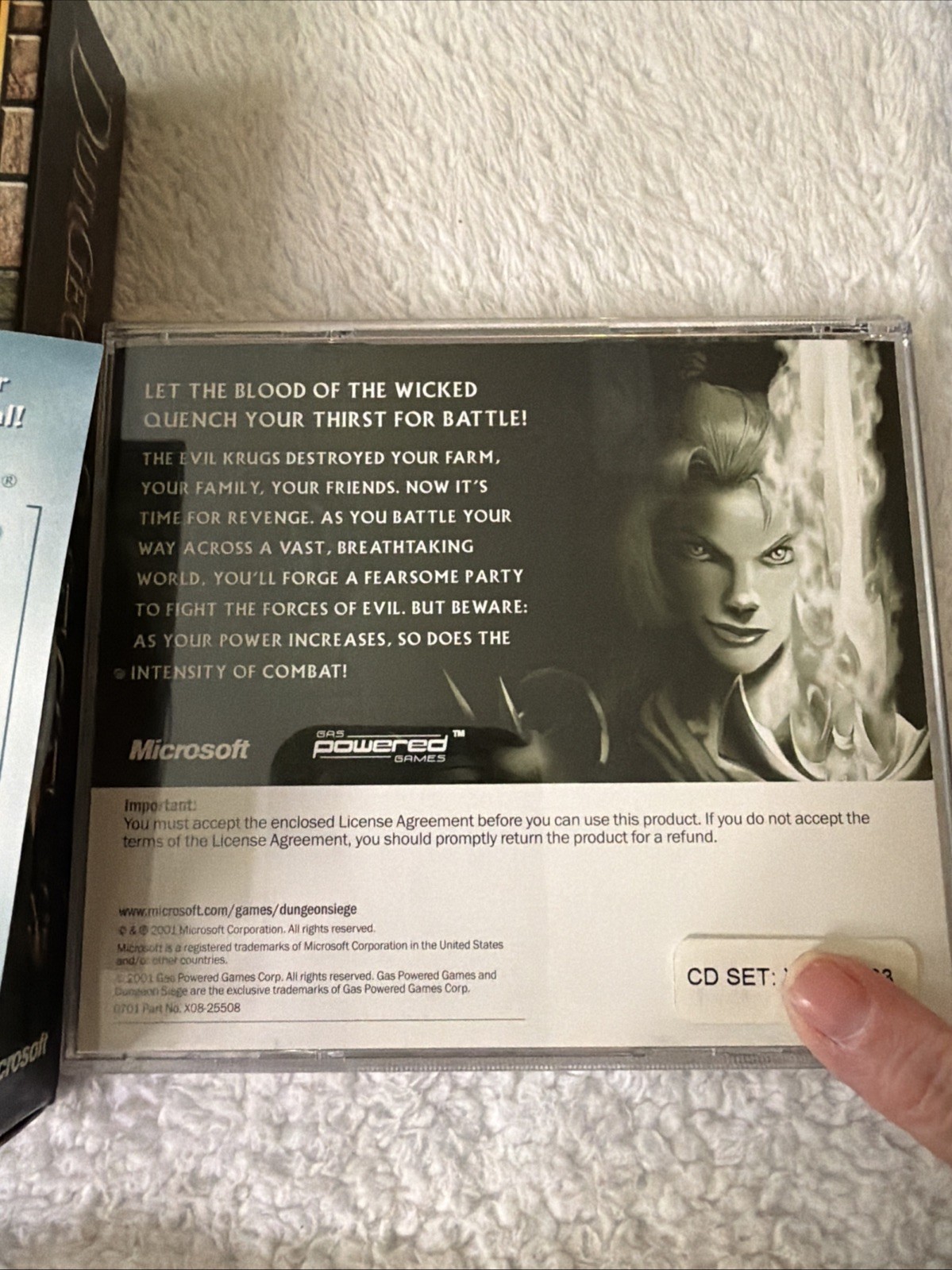Dungeon Siege PC CD ROM Video Game 2 CD Role Playing VTG CIB Chris Taylor