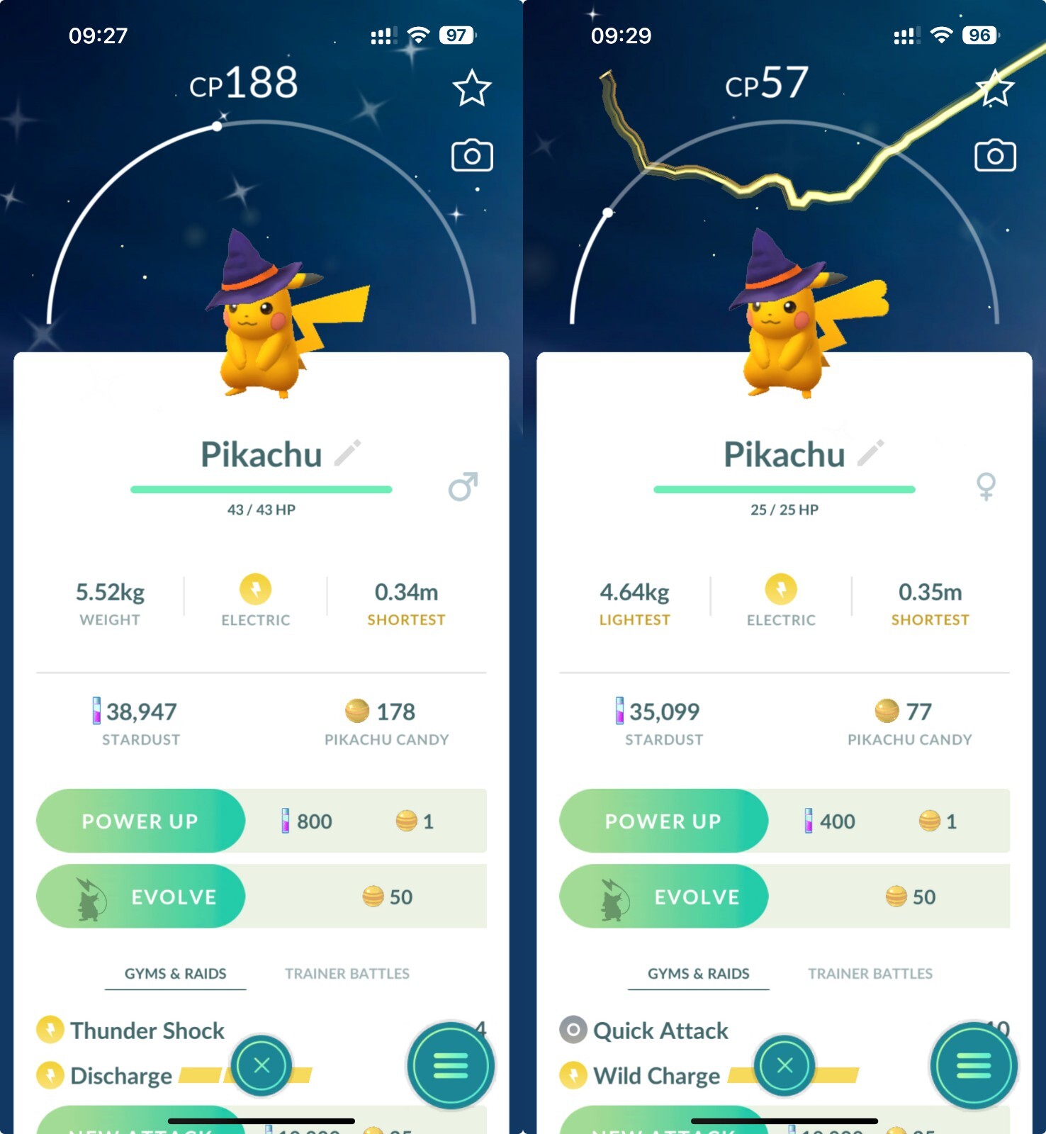 Shiny Pikachu Witch hat Male Female – Trade – Read Description
