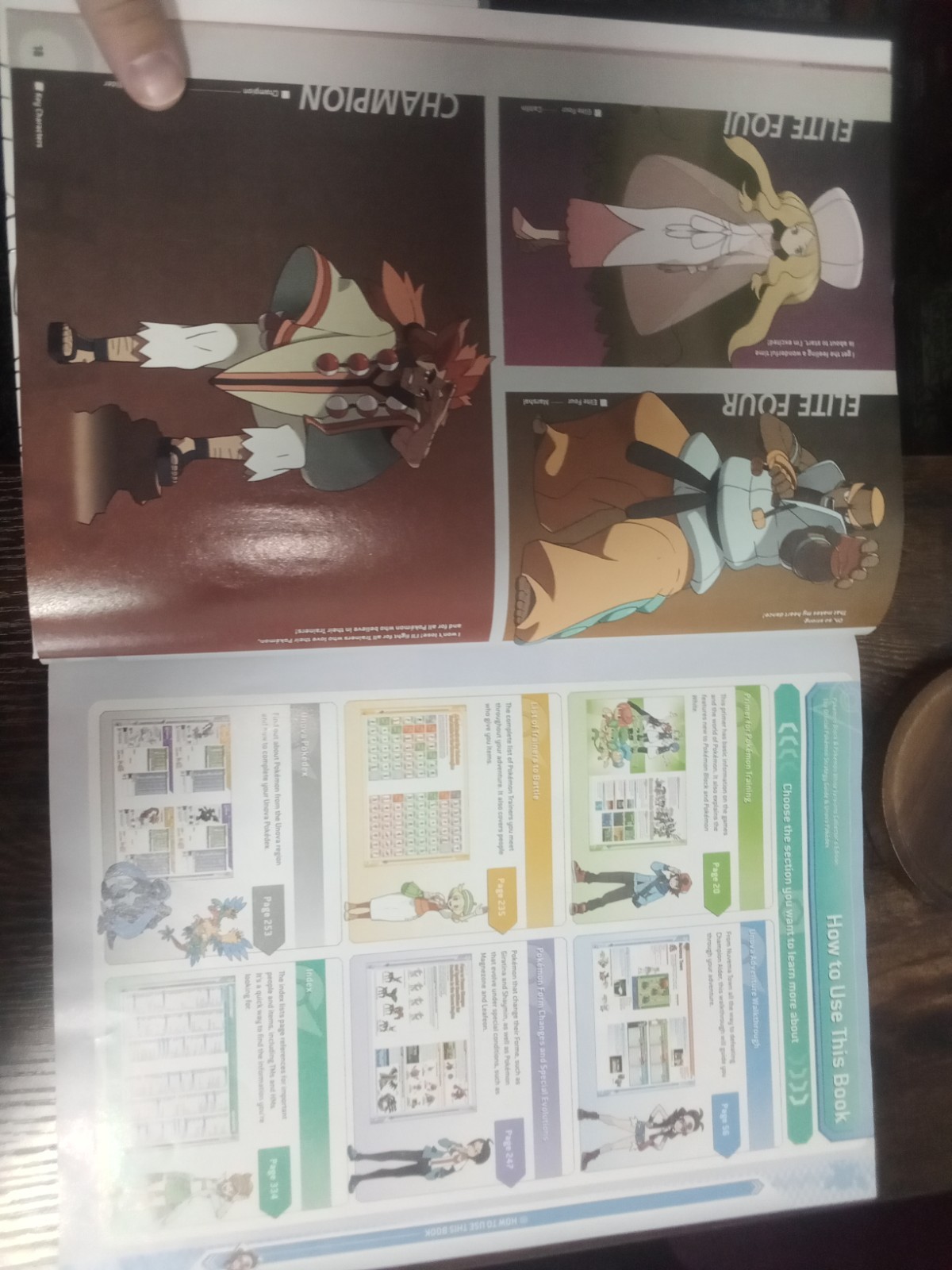 Pokémon Black & White Collector’s Edition Strategy Guide + Unova Pokédex