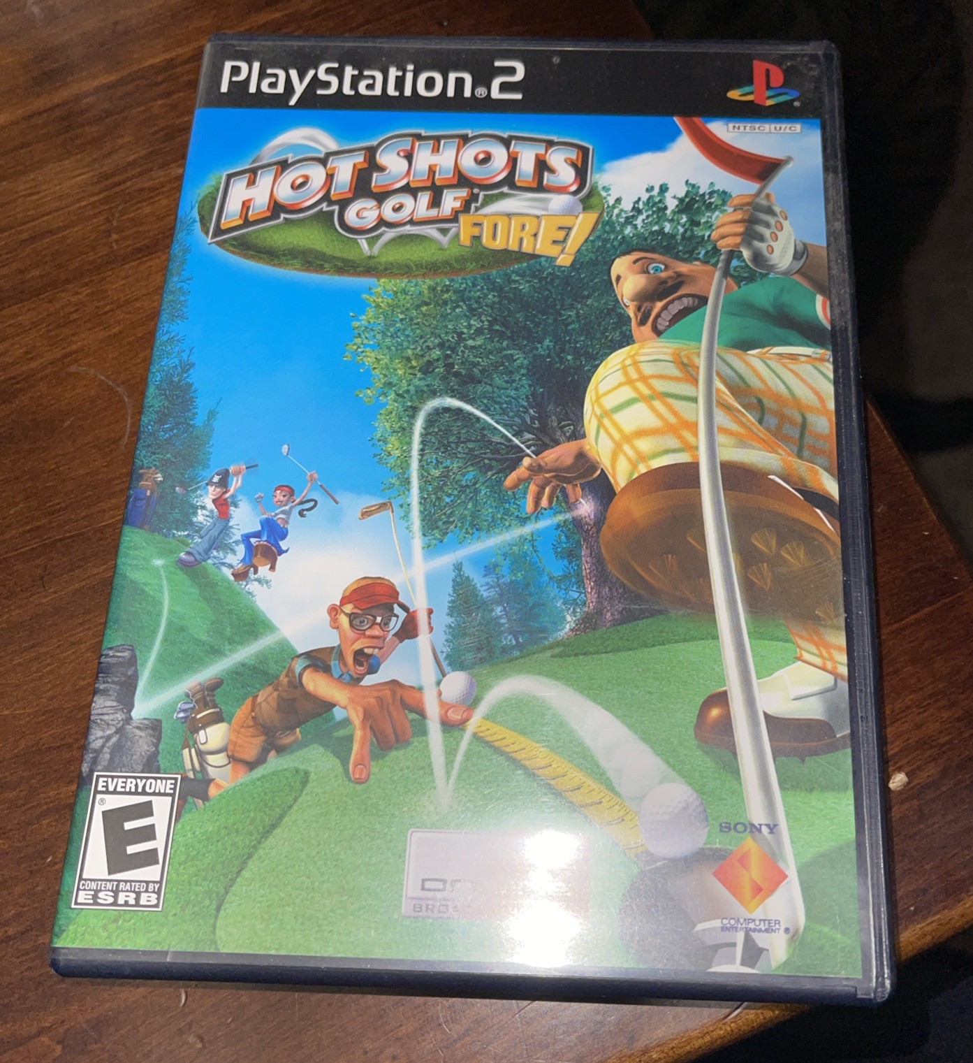 Hot Shots Golf: Fore – PS2 – CIB