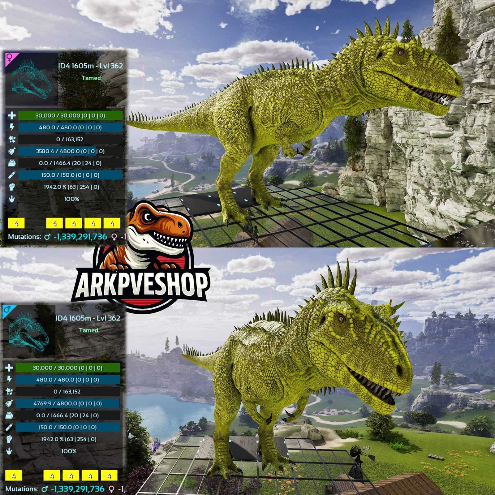 ASA PVE 🦖ARK Survival Ascended Carcharodontosaurus Carcha 1942%melee Imprinted