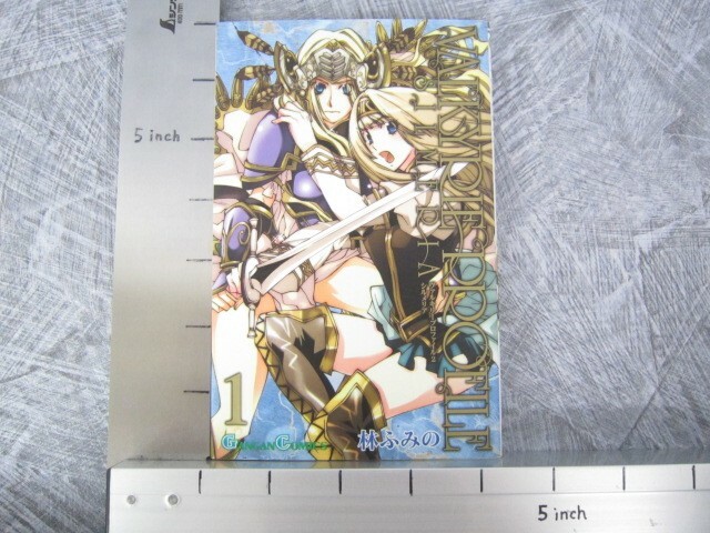 VALKYRIE PROFILE 2 Silmeria Manga Comic Complete Set 1-4 FUMINO HAYASHI Book SE