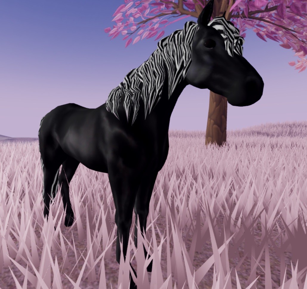 Wild Horse Islands 🌸 IUH NEW MORGAN Perfect Zebra Black 🌸