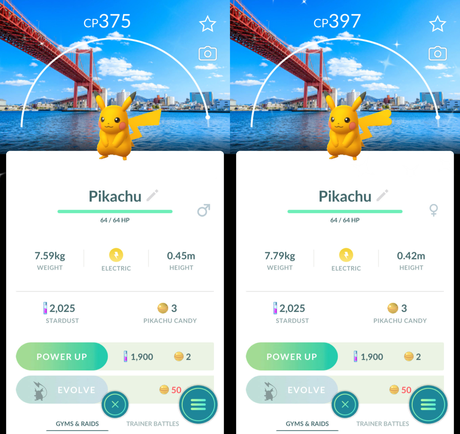 Shiny Pikachu Stamp Rally Background Japan P T C