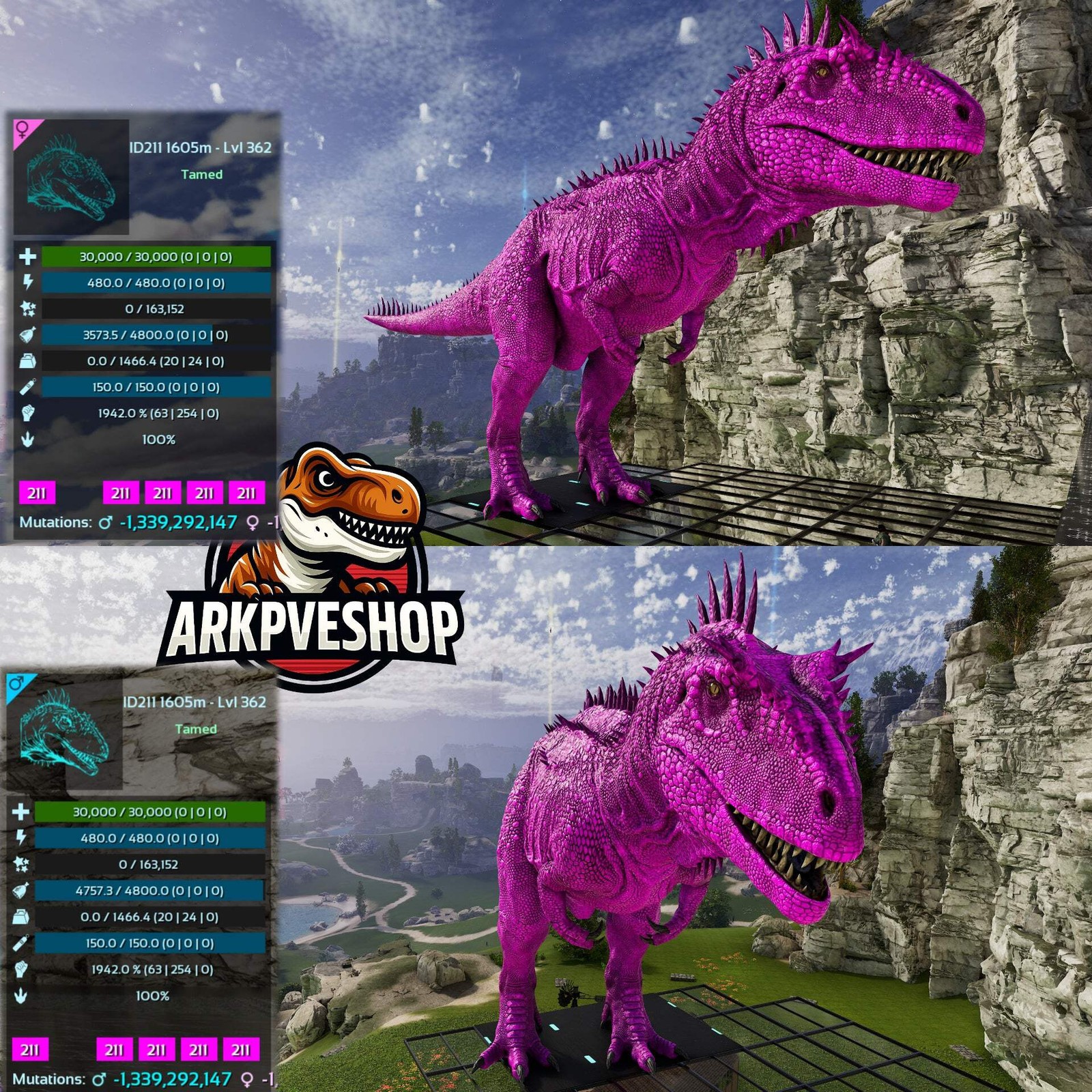 ASA PVE 🦖ARK Survival Ascended Carcharodontosaurus Carcha 1942%melee Imprinted