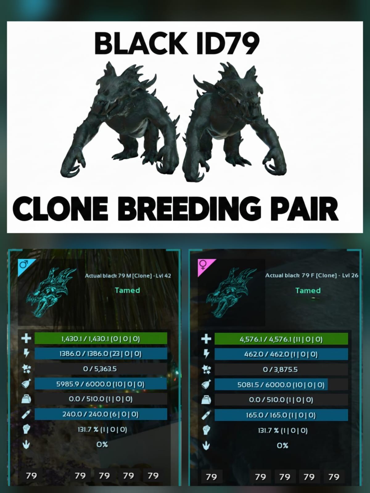 Ossidon Clone Breeding Pair Black ID79 Ark Ascended Pve Official Crossplay