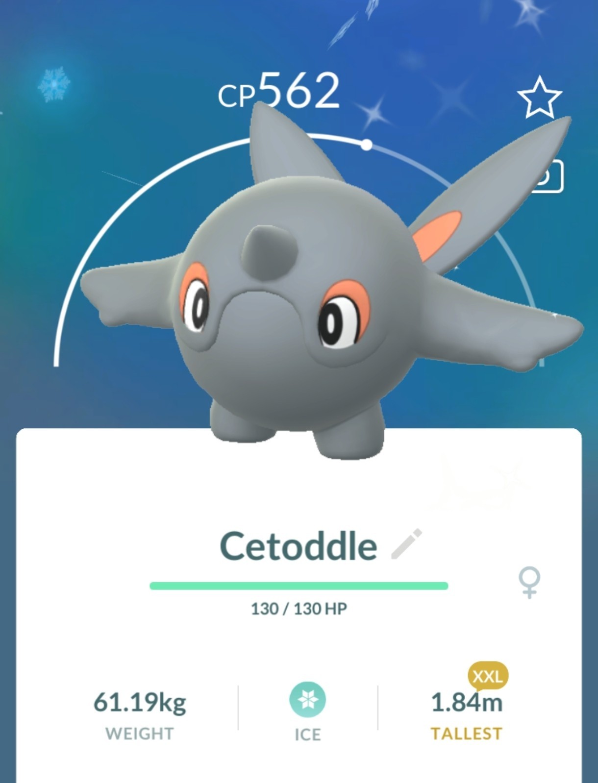 Shiny Cetoddle XXL Winter Attire Pokemon Go – T- 20k Or 1M Stardust