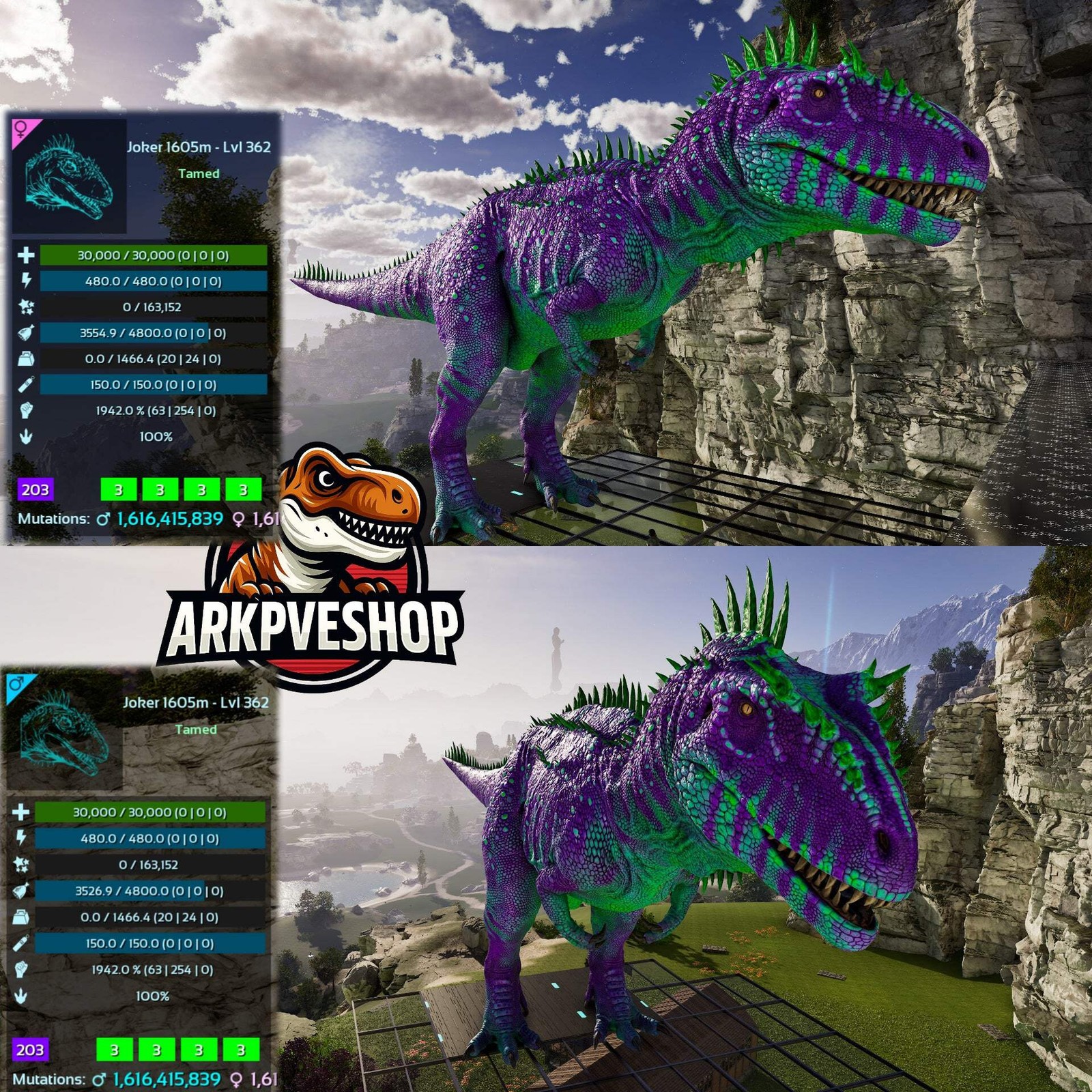 ASA PVE 🦖ARK Survival Ascended Carcharodontosaurus Carcha 1942%melee Imprinted
