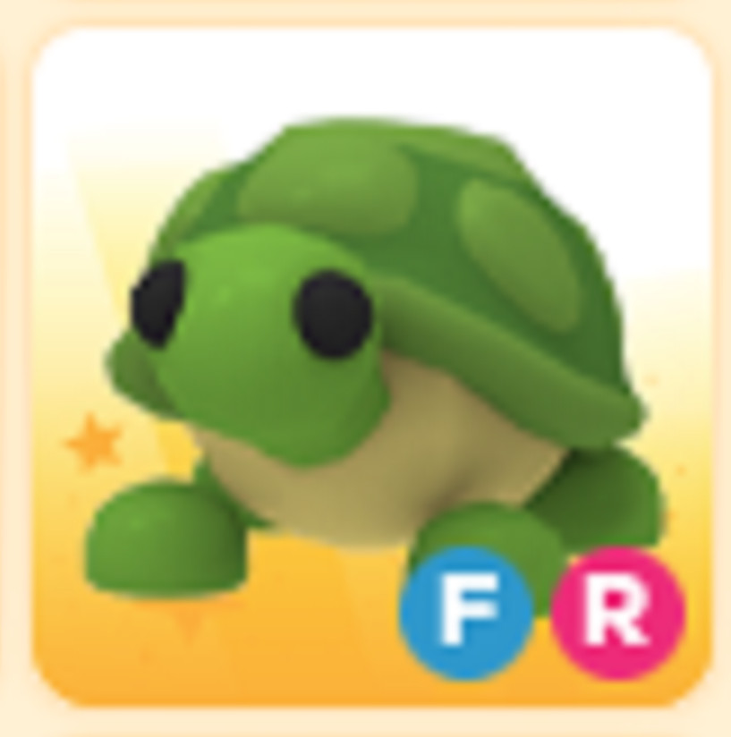 FR Turtle – Cheap & Trusted Store!!