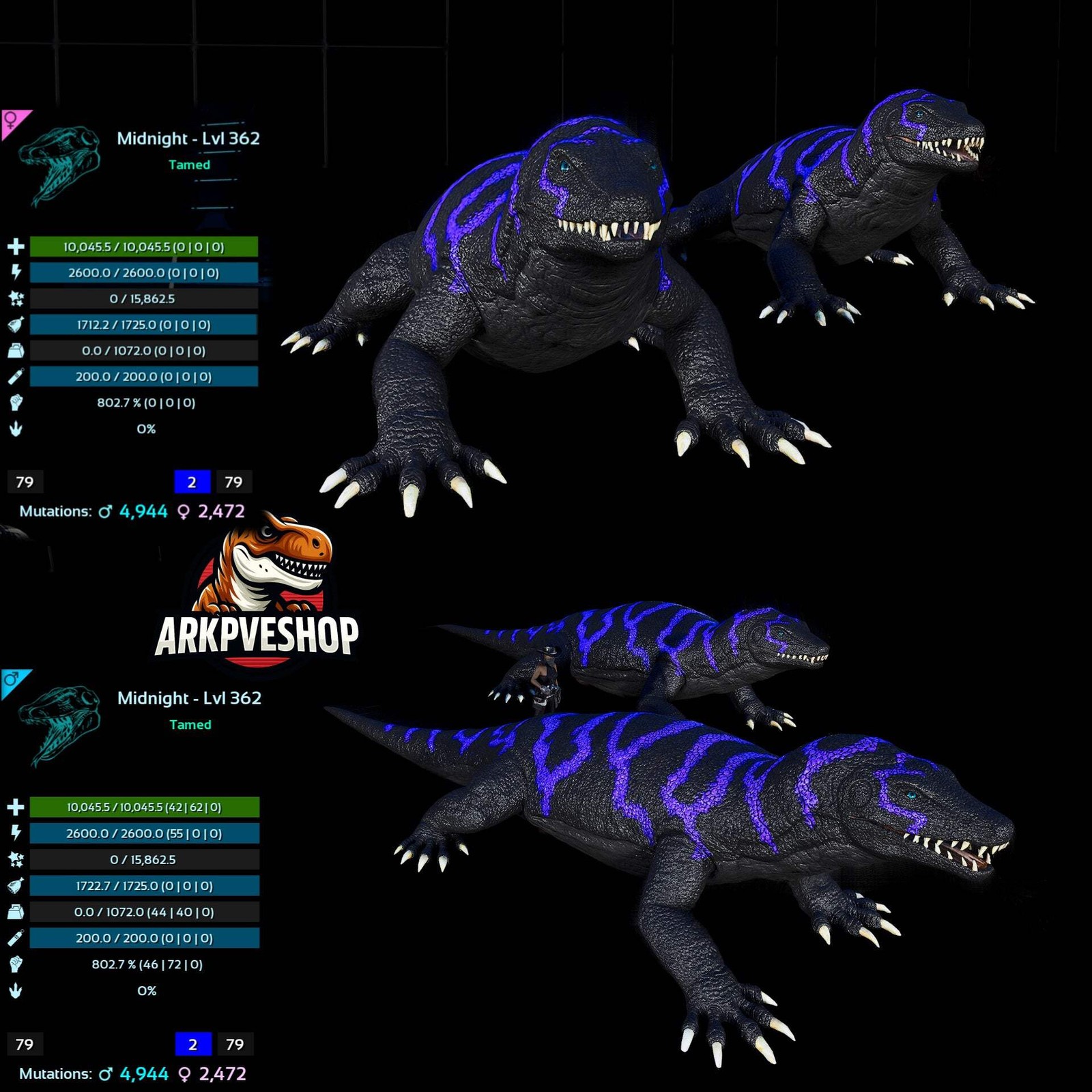 ASA PVE 🦖ARK Survival Ascended Megalania 362Lvl toxin utility