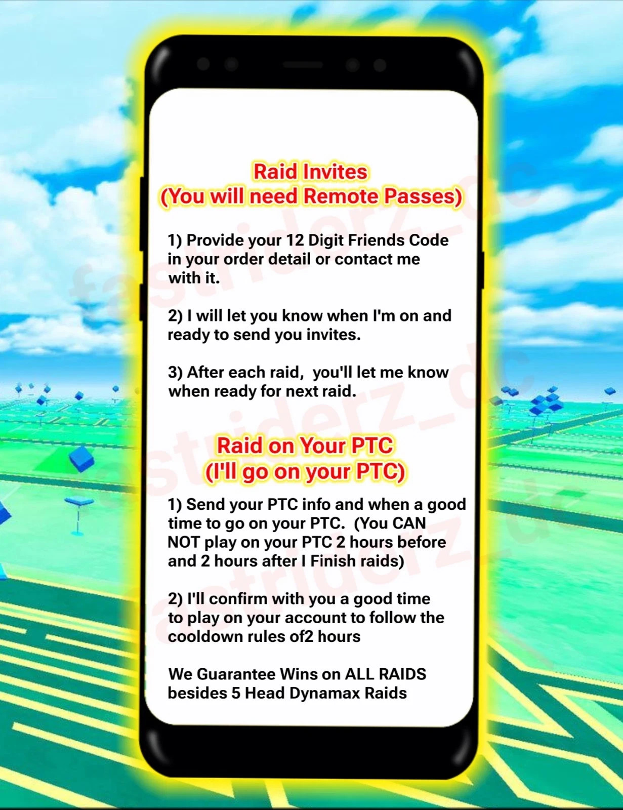 Pokémon Raid Road of Legends GoFest **READ DESCRIPTION **