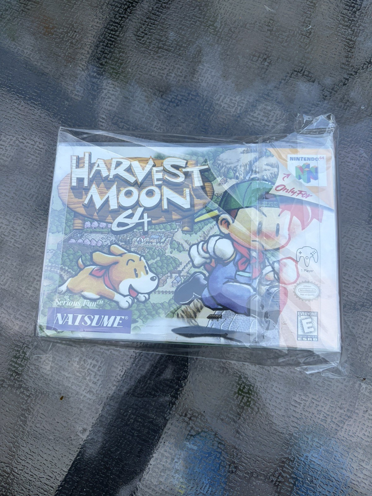 Harvest Moon (Nintendo 64 N64) Complete in Box CIB Authentic