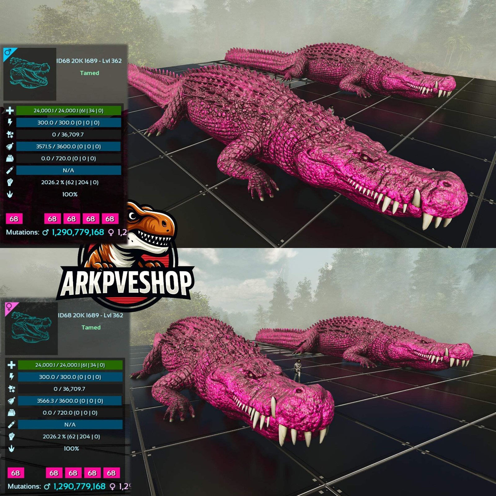 ASA PVE 🦖ARK Survival Ascended Deinosuchus Deino 2026m or 2428m Red Variant