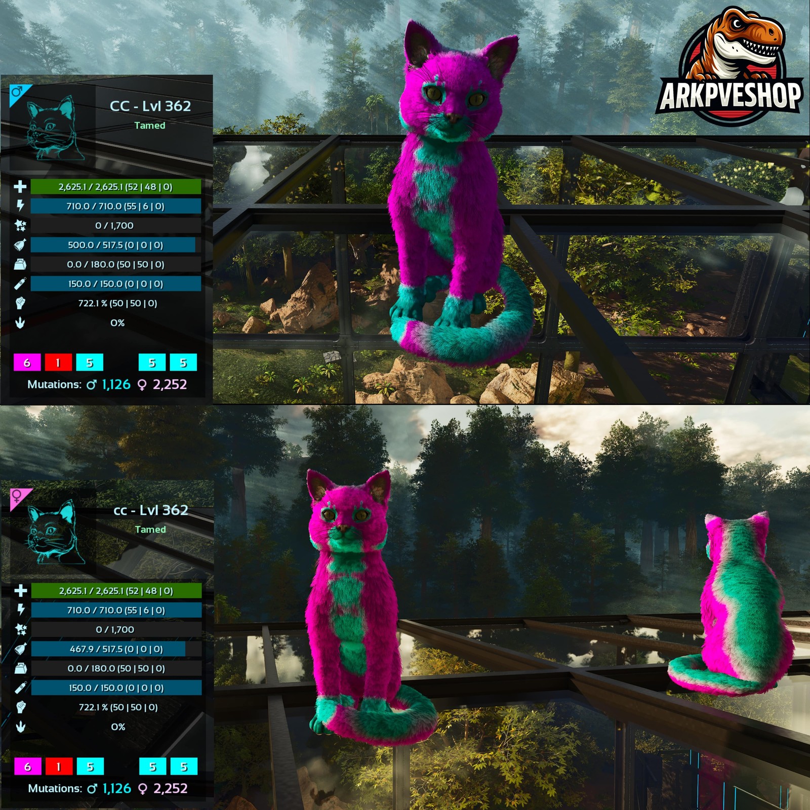 ASA PVE 🦖ARK Survival Ascended Cat / Cats Event Colours Top Stats 722Melee