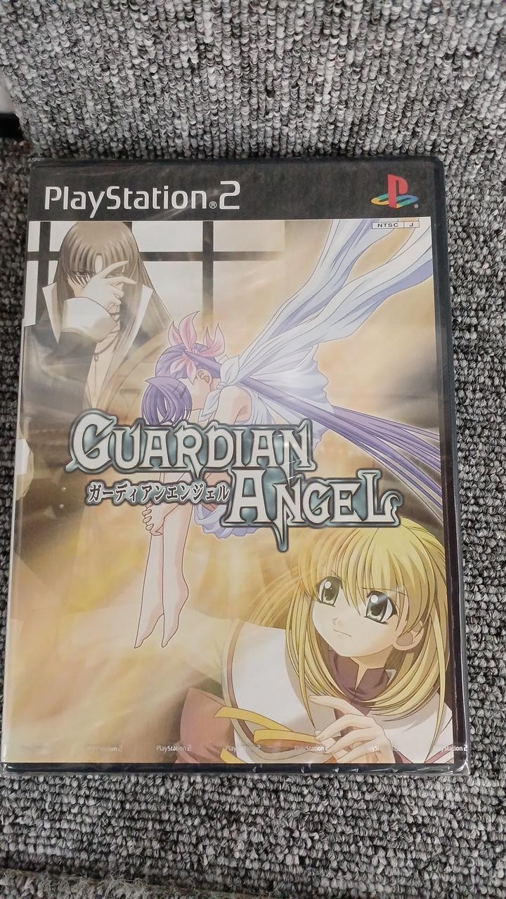 Datum star GUARDIAN ANGEL PS2 Software