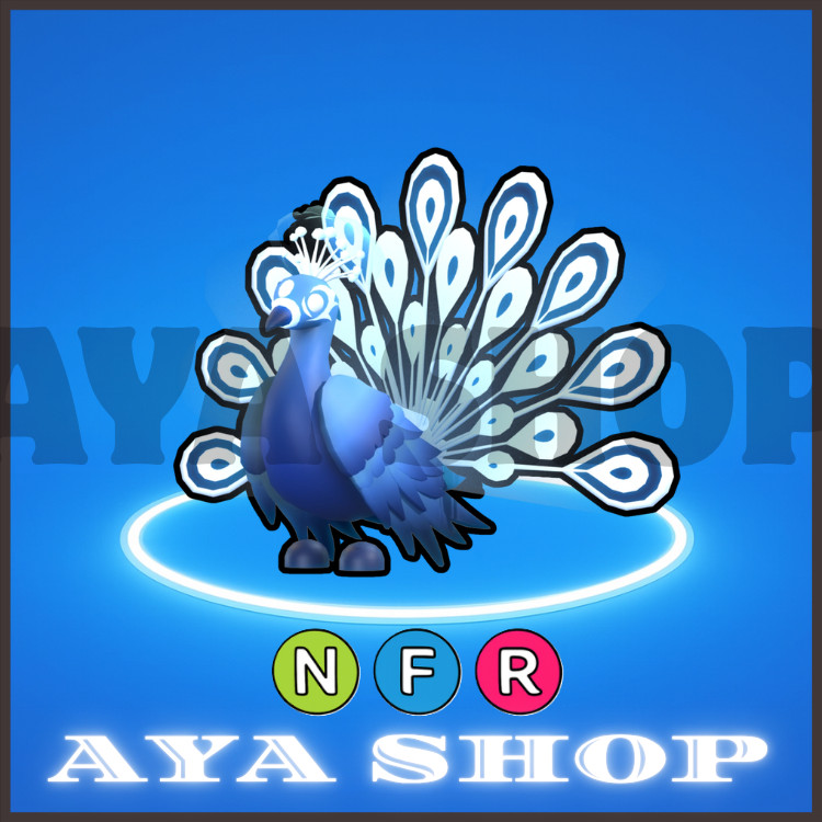 NFR Moonbeam Peacock – Fast & Easy Delivery