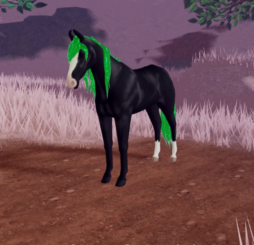 Wild Horse Islands 🌸 IUH Emerald Black Marwari 🌸