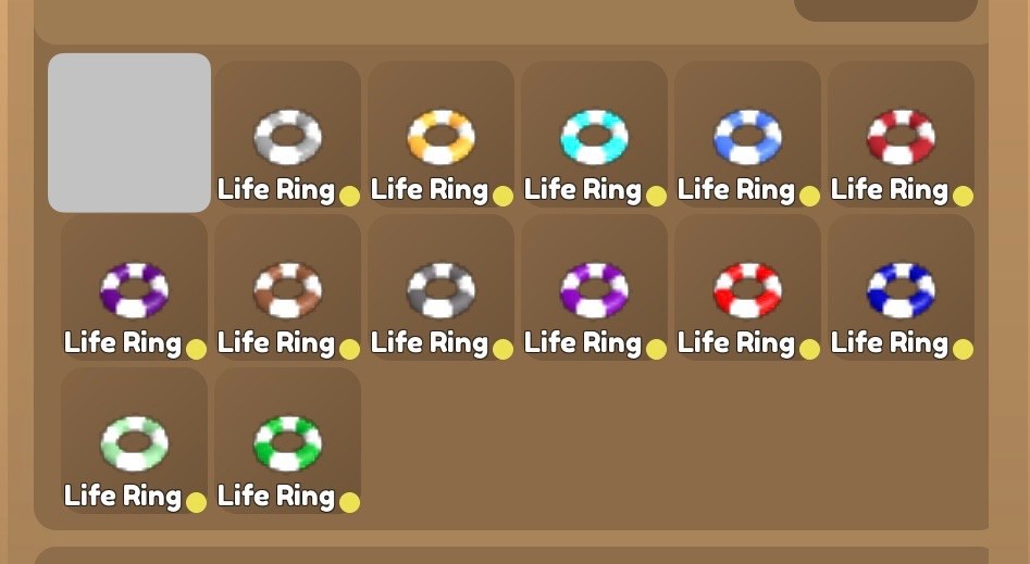Wild Horse Islands Life Rings and Water Wings | Please Read Description