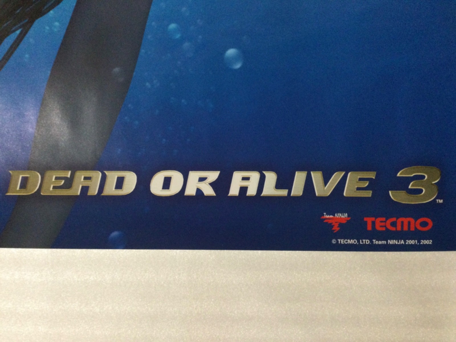 DEAD OR ALIVE 3 Limited Promo Poster Display + Bag RARE Xbox Tecmo Itagaki DOA