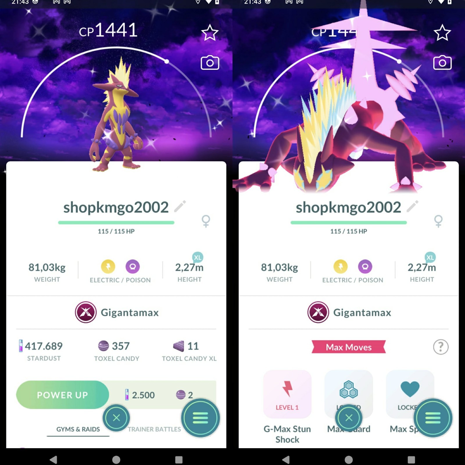 Pokémon Shiny Toxtricity Amped Form Gigantamax Dark Skies Background Max Final