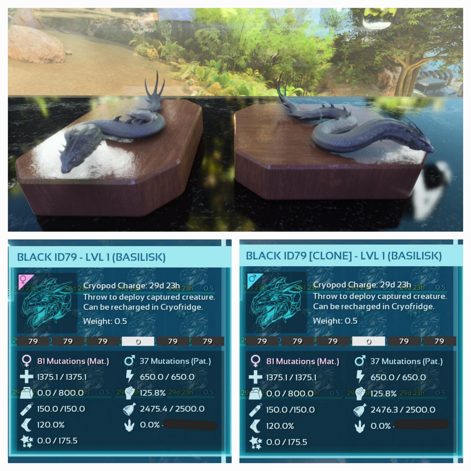 ARK ASCENDED PVE OFFICIAL PAIR CLONED BASÍLISK BLACK ID79 LEVEL 01 PC/XBOX/PS5