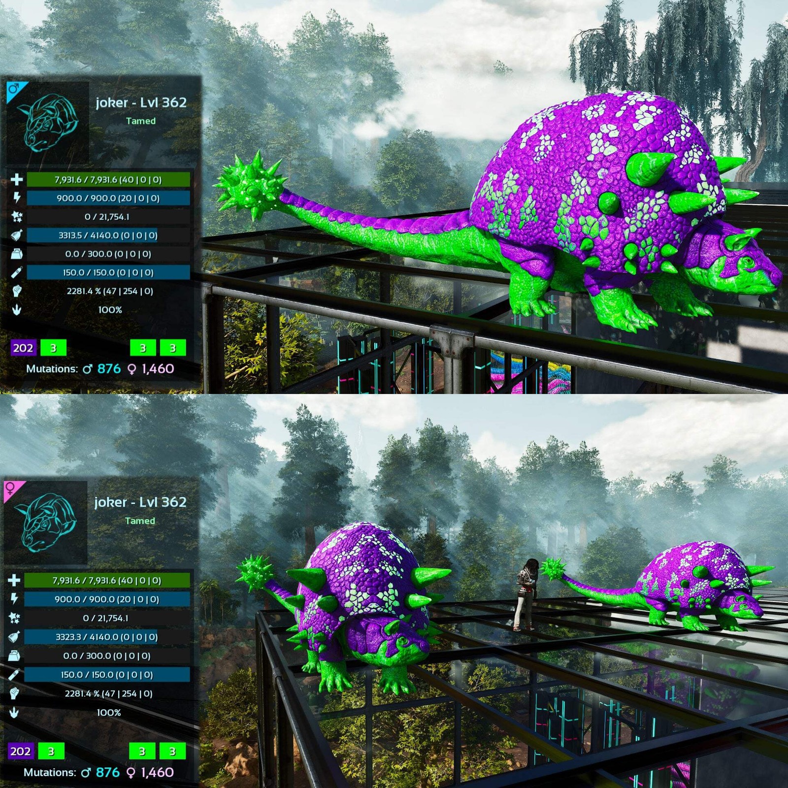 ASA PVE 🦖ARK Survival Ascended Aberrant Doedicurus Doedi 2281.4%Melee Top