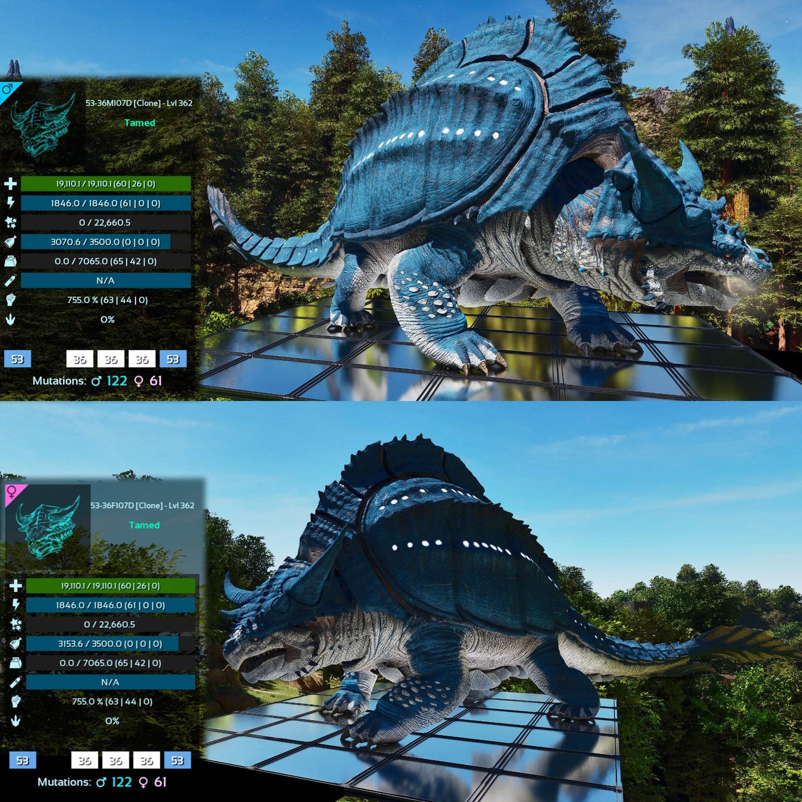 Grand Tortugar Tank Lvl 362 ASA PVE 🦖ARK Survival Ascended