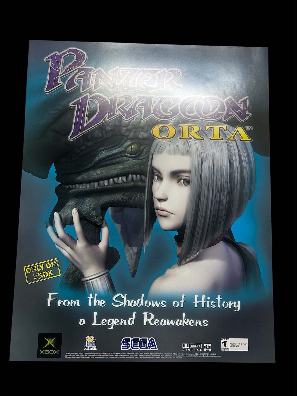 Panzer Dragoon Orta XBOX 360 SEGA Promo Poster 22″x28″ Store Display 2002 Rare