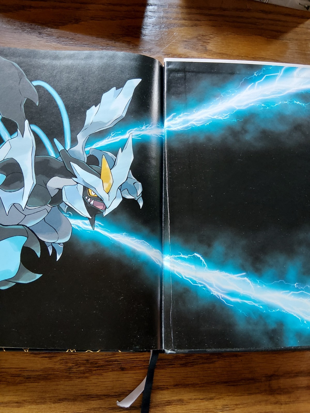Pokemon Black Version 2 & Pokemon White Version 2 Collector’s Edition Guide…