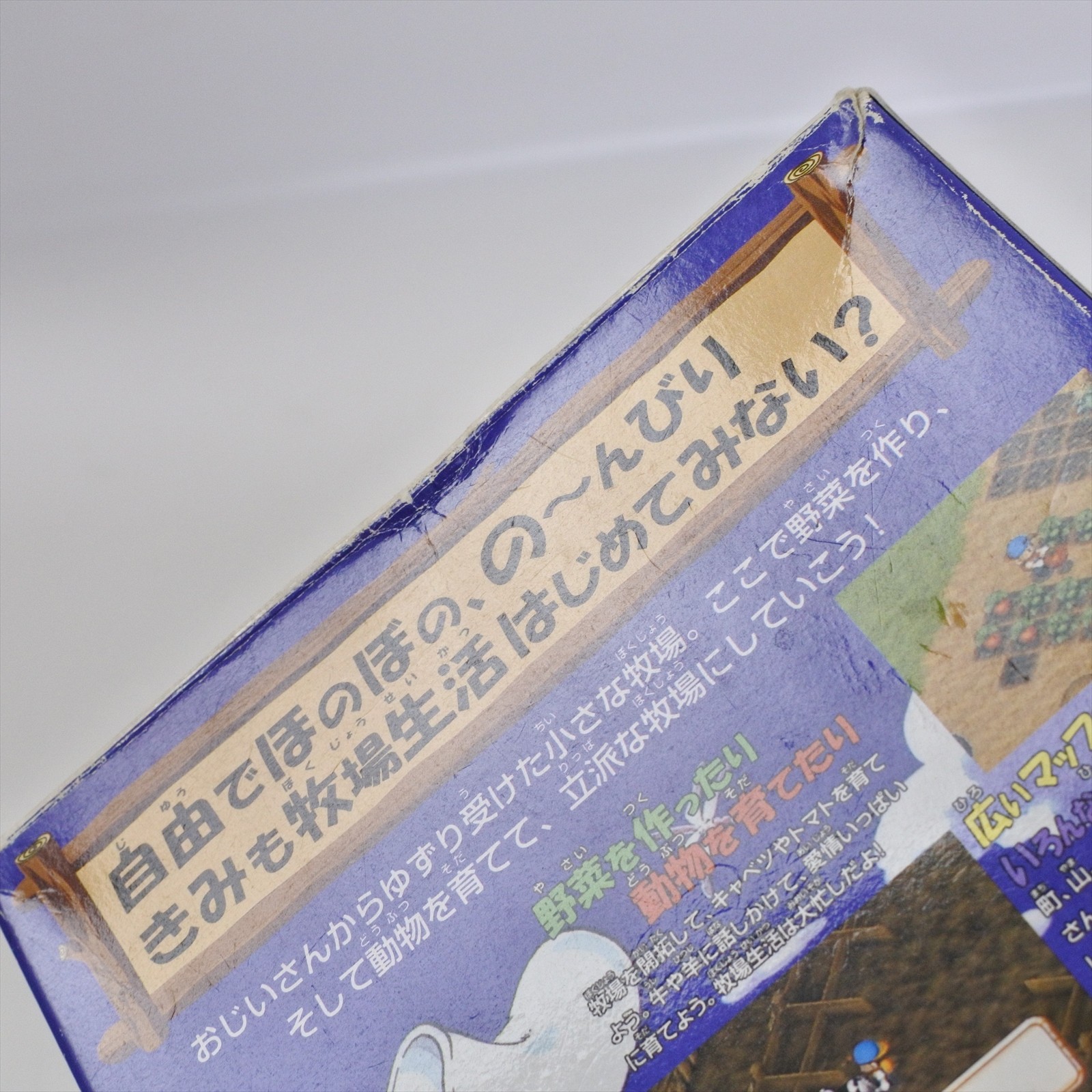 BOKUJO MONOGATARI 2 Harvest Moon Nintendo 64 3208 n6