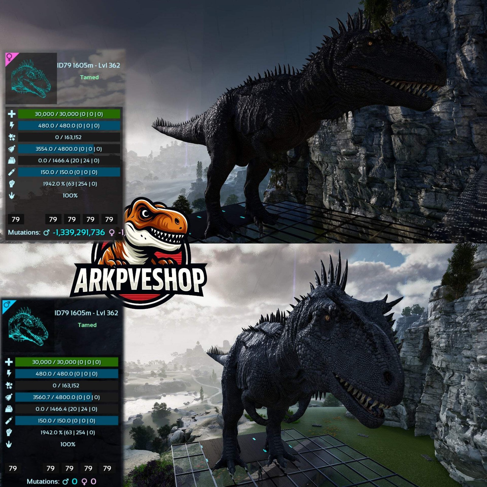 ASA PVE 🦖ARK Survival Ascended Carcharodontosaurus Carcha 1942%melee Imprinted