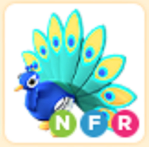 NFR Peacock – The Trusted Store!!