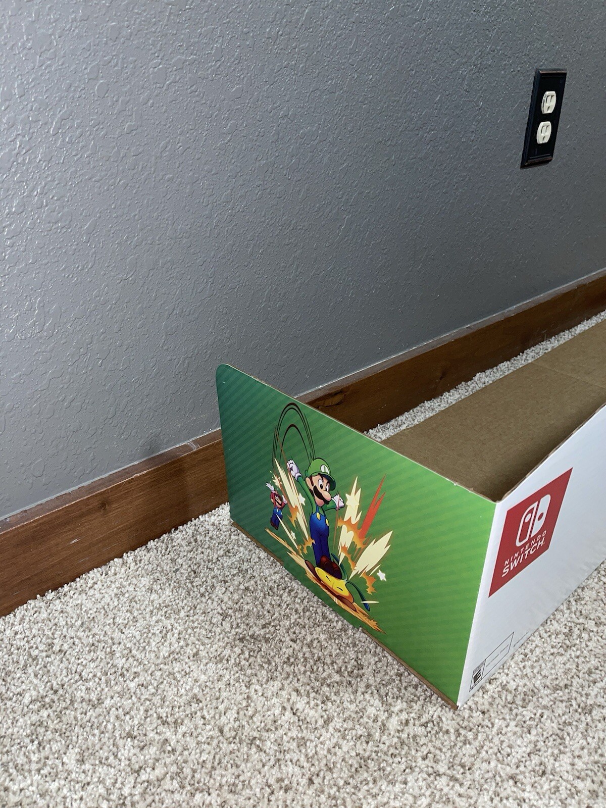 Mario and Luigi Brothership 4FT Horizontal Display -Walmart- 2024 #1