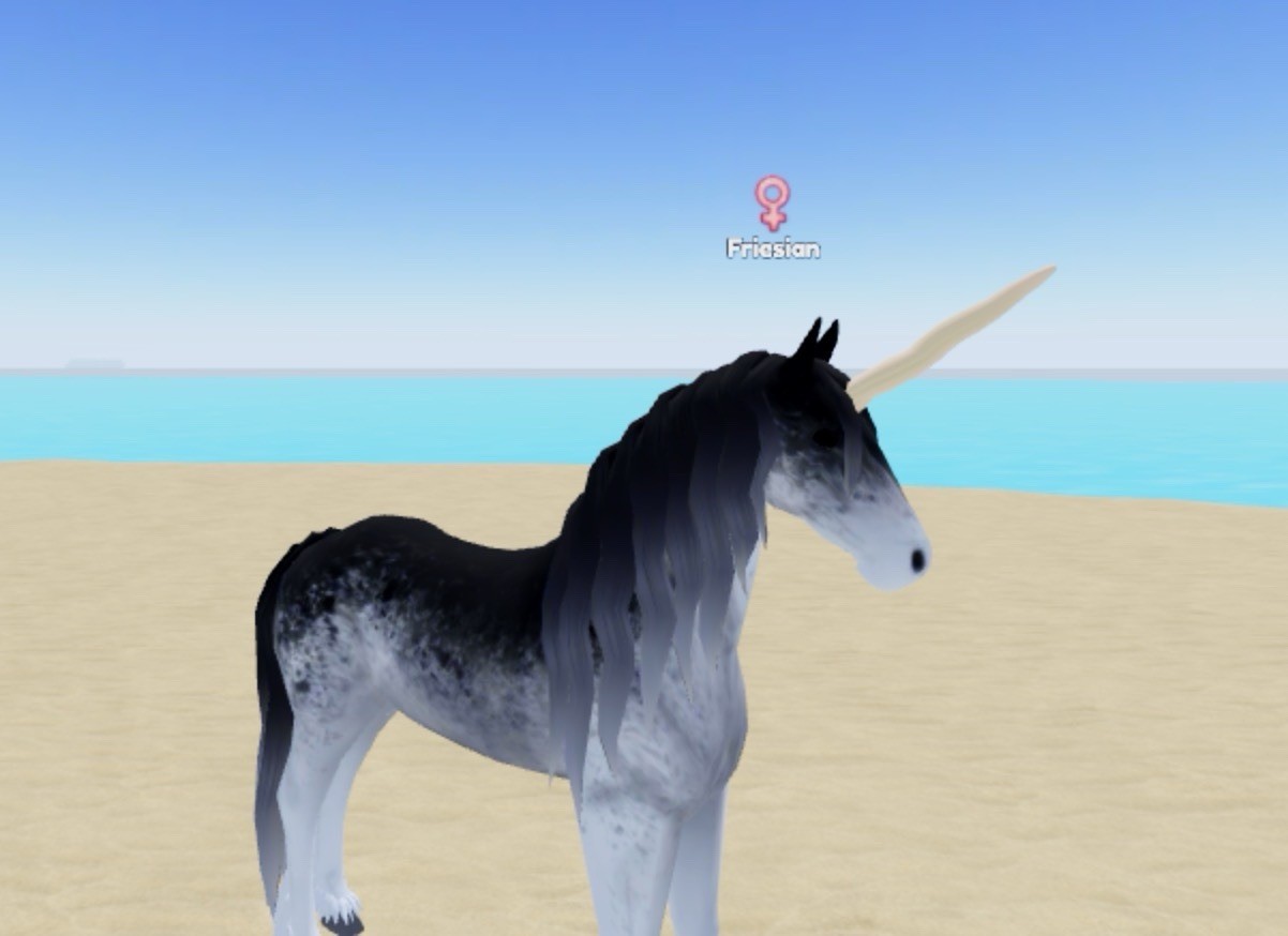 Wild Horse Islands Horned Narwhal Friesian (Random Personality And Stats)