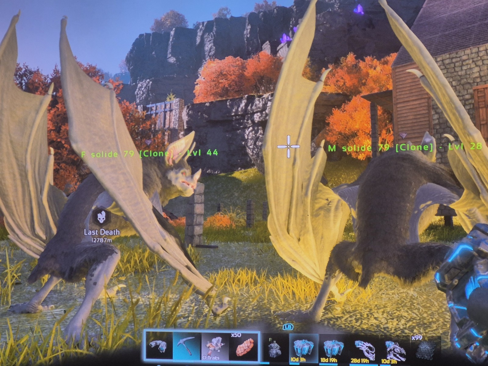 ark survival ascended pve Desmodus Solid Black 79 Pair
