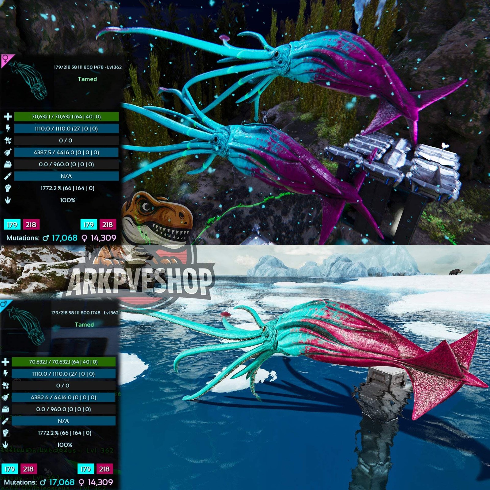 Tuso ASA PVE 🦖ARK Survival Ascended Tusoteuthis 1772%Melee Imprinted