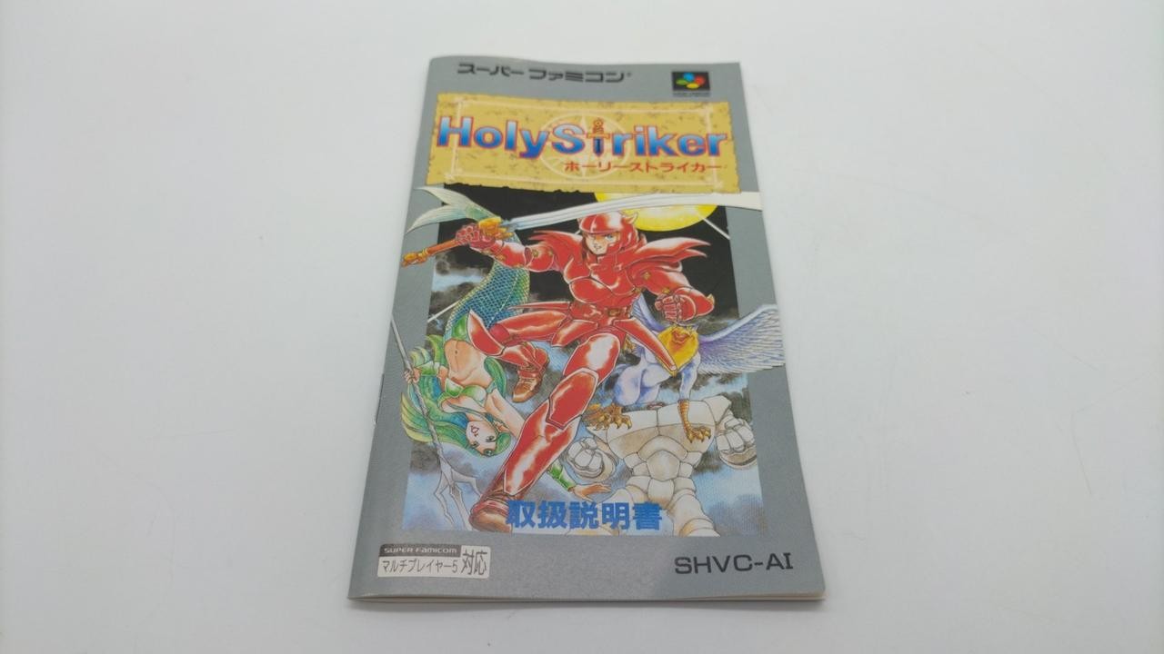 Hect Holy Striker SFC Software