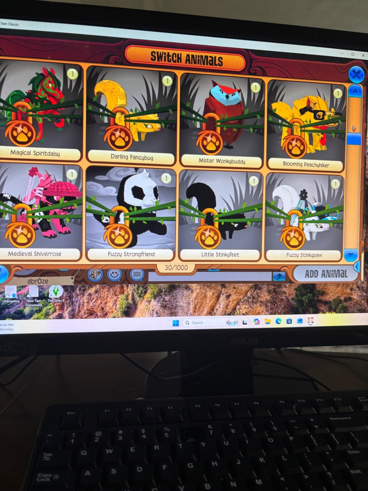 animal jam classic account