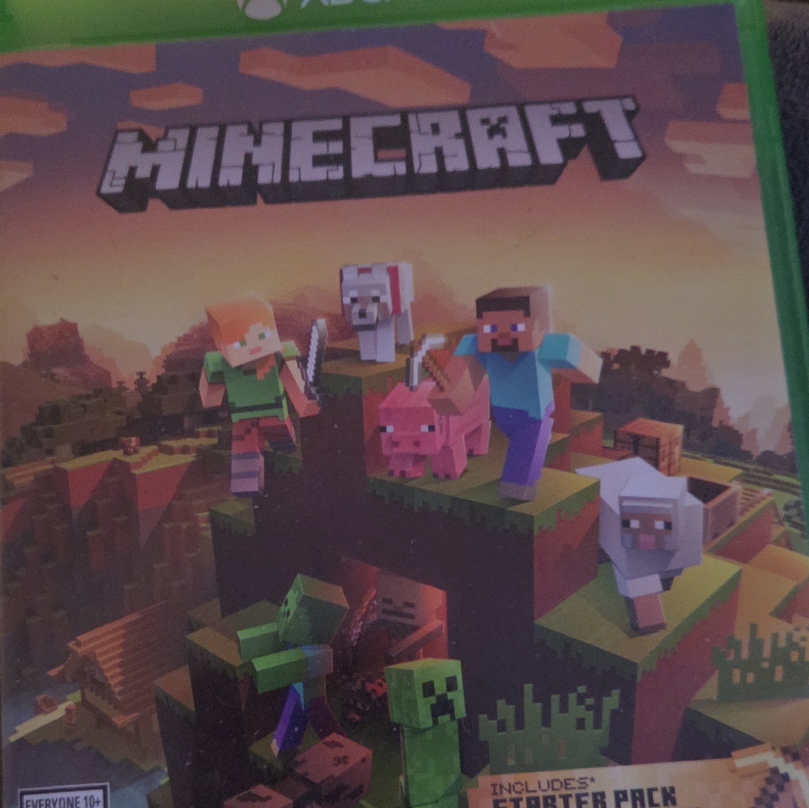 Minecraft Video Game Series – Microsoft Xbox One – E10+ (Everyone 10+)