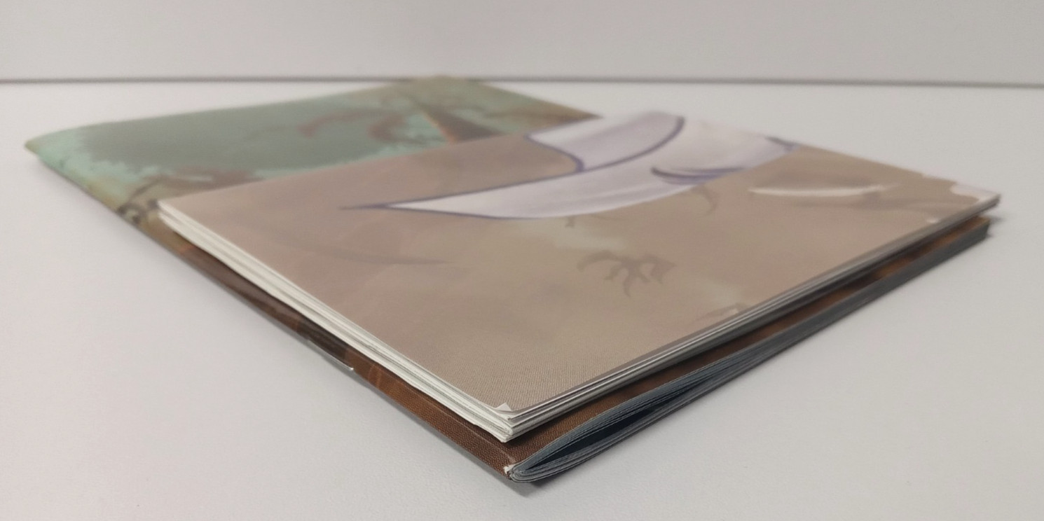 Ys: Origin Special Edition (Nintendo Switch) – CIB, Japanese Import, U.S. Seller