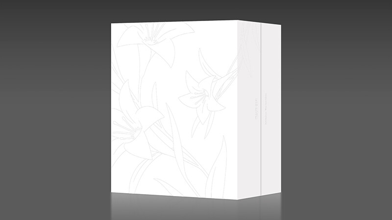 PS4 Square Enix NieR Replicant ver.1.22474487139 … White Snow Edition Limited