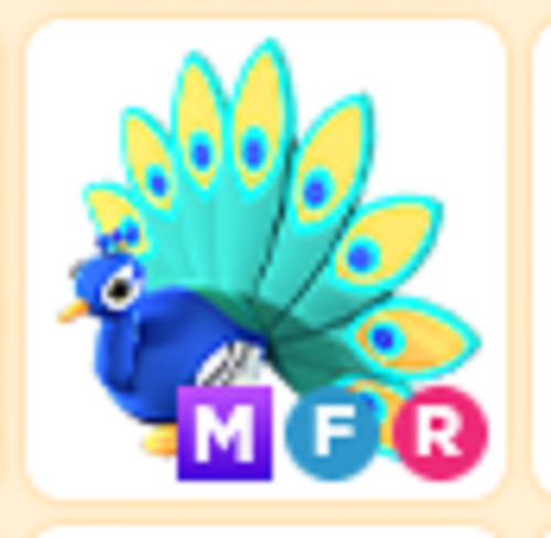 MFR Peacock – Cheap & Trusted Store!!